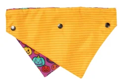FuzzYard Oh My Gourd! - Dog 2 Pack