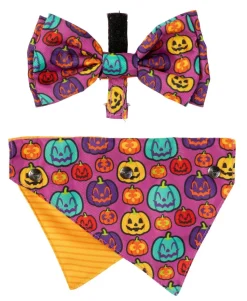 FuzzYard Oh My Gourd! - Dog 2 Pack