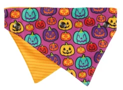 FuzzYard Oh My Gourd! - Dog 2 Pack