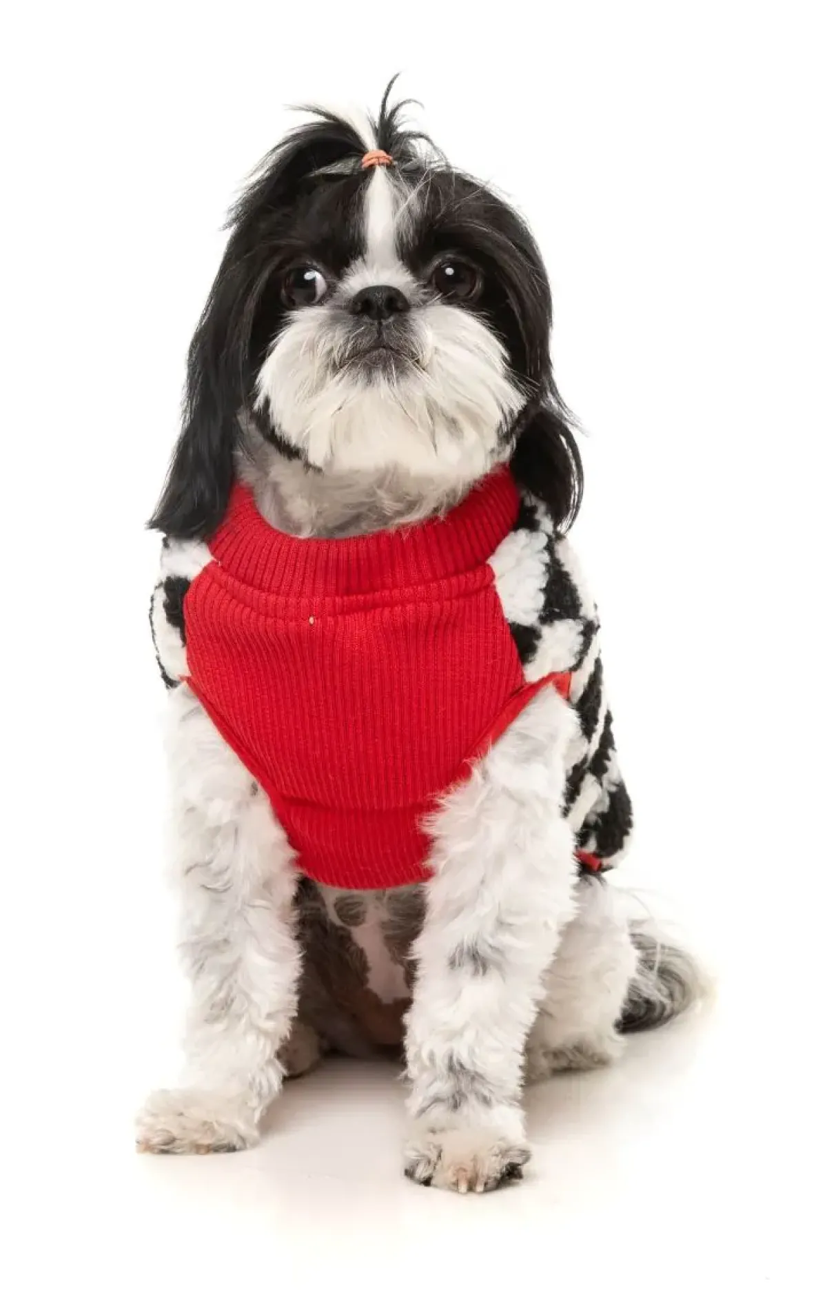 FuzzYard Ollie Jacket - Red