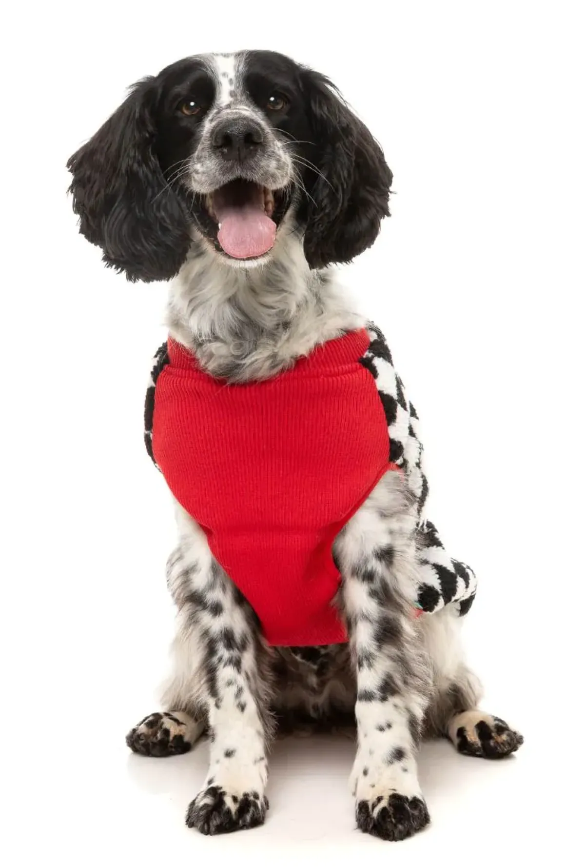 FuzzYard Ollie Jacket - Red