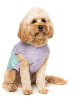 FuzzYard Ormond Raincoat - Purple/Blue