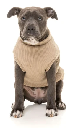 FuzzYard Oxford Tan MacGyver Jacket