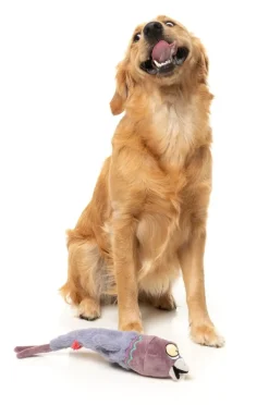 FuzzYard Peace Out Pigeon - The Yeetz - Dog Toy