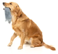 FuzzYard Peace Out Pigeon - The Yeetz - Dog Toy