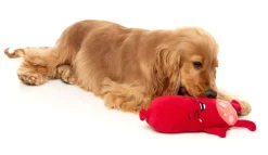 FuzzYard Pepper-Toni - Dog Toy