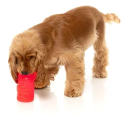 FuzzYard Pina Coolada Freeze - Interactive Chew Toy