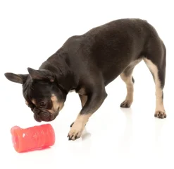 FuzzYard Pina Coolada Freeze - Interactive Chew Toy