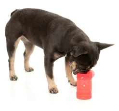 FuzzYard Pina Coolada Freeze - Interactive Chew Toy