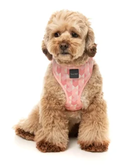 FuzzYard Pink Lemonade - Dog Harness