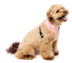FuzzYard Pink Lemonade - Dog Harness