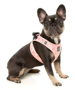 FuzzYard Pink Lemonade - Dog Step In Harness
