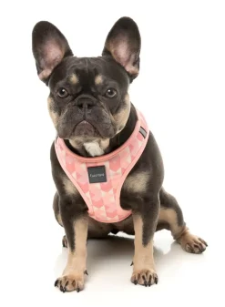 FuzzYard Pink Lemonade - Dog Step In Harness