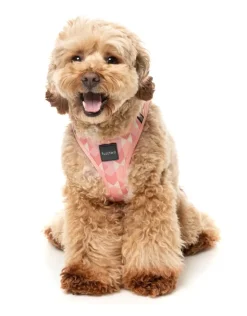 FuzzYard Pink Lemonade - Dog Step In Harness