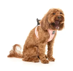 FuzzYard Pink Lemonade - Dog Step In Harness