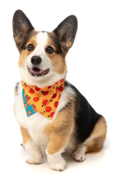 FuzzYard Pizza Lyf Bandana