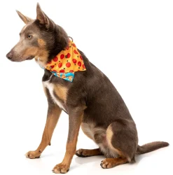 FuzzYard Pizza Lyf Bandana