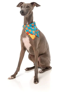 FuzzYard Pizza Lyf Bandana