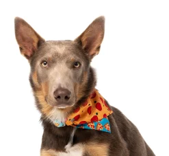 FuzzYard Pizza Lyf Bandana