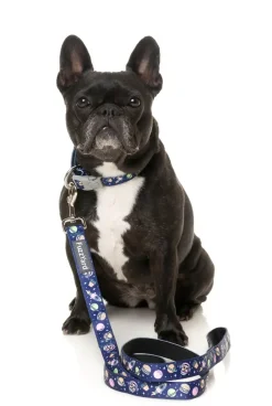 FuzzYard Pluto Pup - Dog Collar