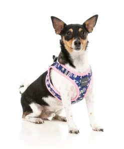FuzzYard Pluto Pup - Step In Harness