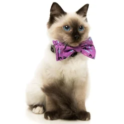 FuzzYard Prince Pet Bow Tie