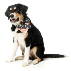 FuzzYard Rad Pet Bandana