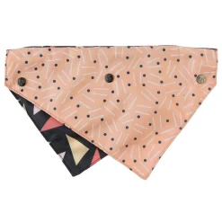 FuzzYard Rad Pet Bandana