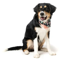 FuzzYard Rad Pet Bandana