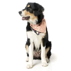 FuzzYard Rad Pet Bandana
