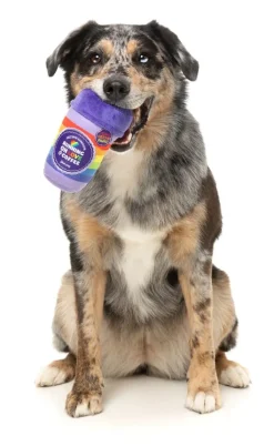 FuzzYard Rainbow Pawfee - Dog Toy