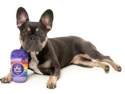 FuzzYard Rainbow Pawfee - Dog Toy