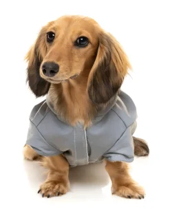 FuzzYard Reflective Hoodie