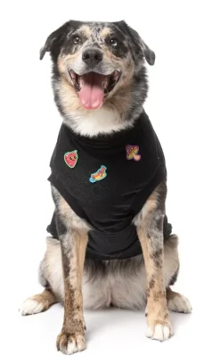 FuzzYard Rep It - Freshman Sweater