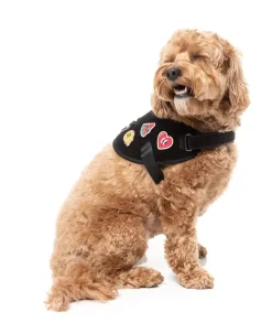 FuzzYard Rep It - Harness