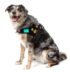 FuzzYard Rep It - Harness