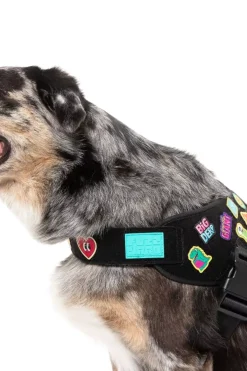 FuzzYard Rep It - Harness