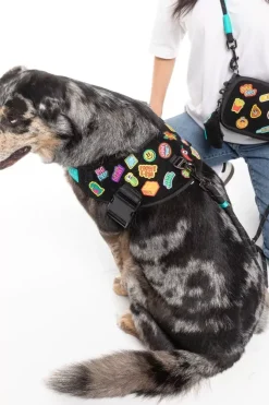 FuzzYard Rep It - Harness