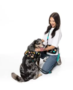 FuzzYard Rep It - Harness