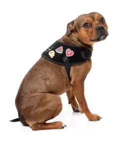 FuzzYard Rep It - Harness