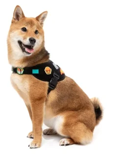 FuzzYard Rep It - Harness