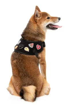 FuzzYard Rep It - Harness