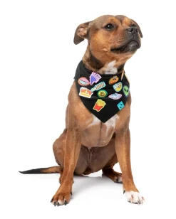 FuzzYard Rep It - Merit Bandana