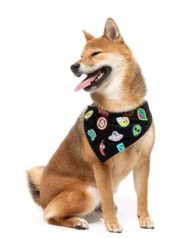 FuzzYard Rep It - Merit Bandana