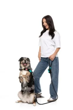 FuzzYard Rep It - Poop Bag Dispenser