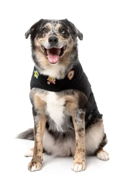 FuzzYard Rep It - Ranger Wrap Vest