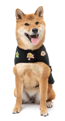 FuzzYard Rep It - Ranger Wrap Vest