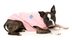 FuzzYard Rock It Sweater - Pink