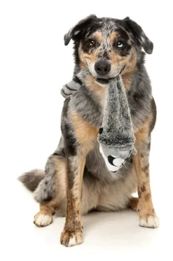 FuzzYard Run Along Raccoon - The Yeetz - Dog Toy