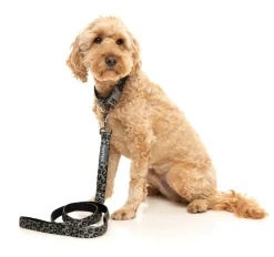 FuzzYard Savanna - Dog Lead